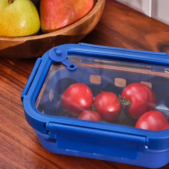 Emsan Smart 640 ml Borosilicate Storage Container