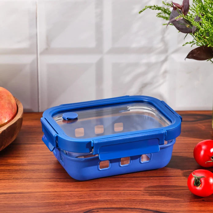 Emsan Smart 640 ml Borosilicate Storage Container