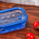 Emsan Smart 640 ml Borosilicate Storage Container