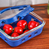 Emsan Smart 640 ml Borosilicate Storage Container