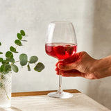 Emsan Evelyn Crystal Glass Set of 3 – 610 ml each